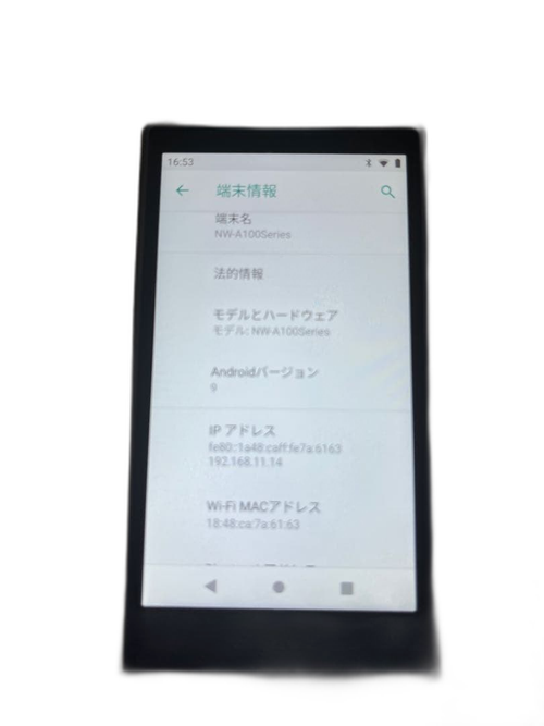 Sony Digital Audio Player Walkman Nw-A105 G