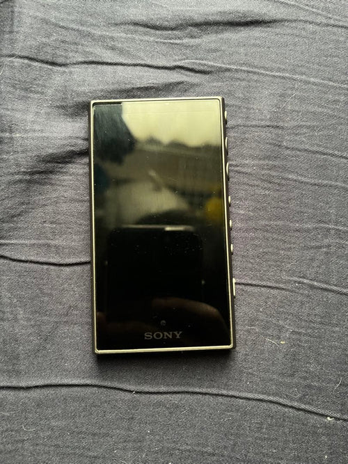 Sony Digital Audio Player Walkman Nw-A105 G