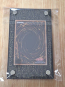Yu-Gi-Oh! Ocg Duel Monsters (Japanese) 20Th 10000Th