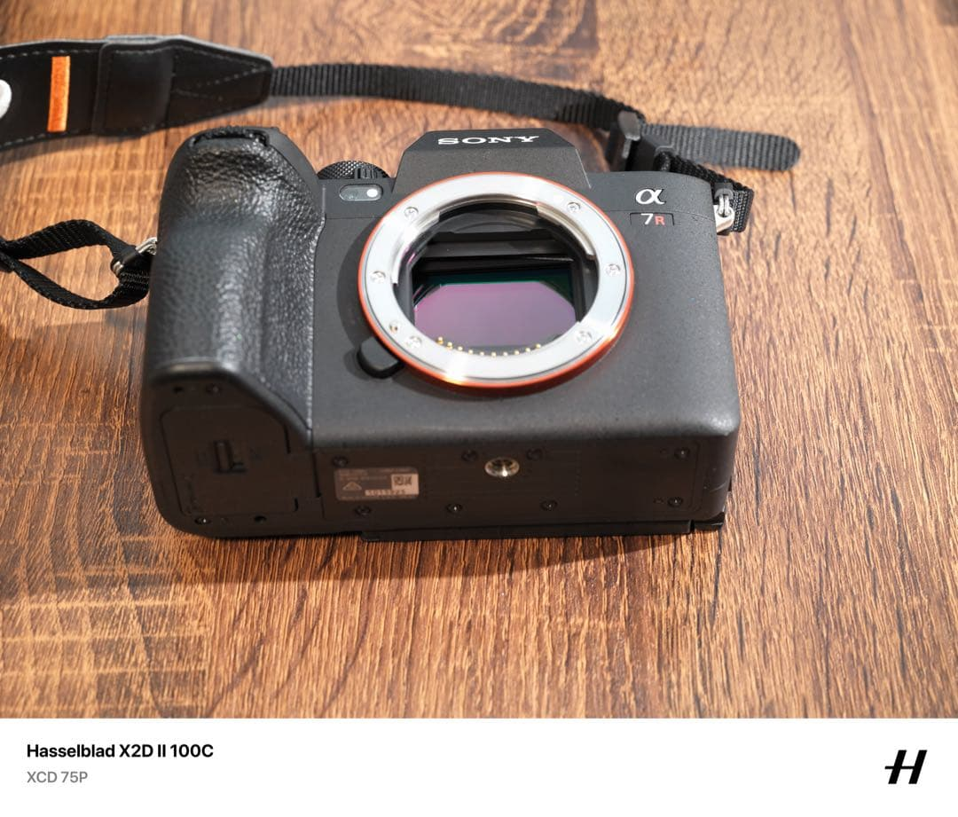 Mirrorless Interchangeable Lips Sony A7R V A7Rm5