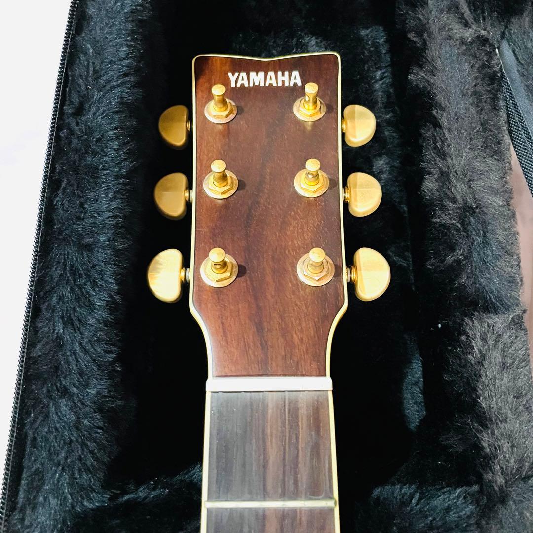 Yamaha Acoustic Guitars Ll6T