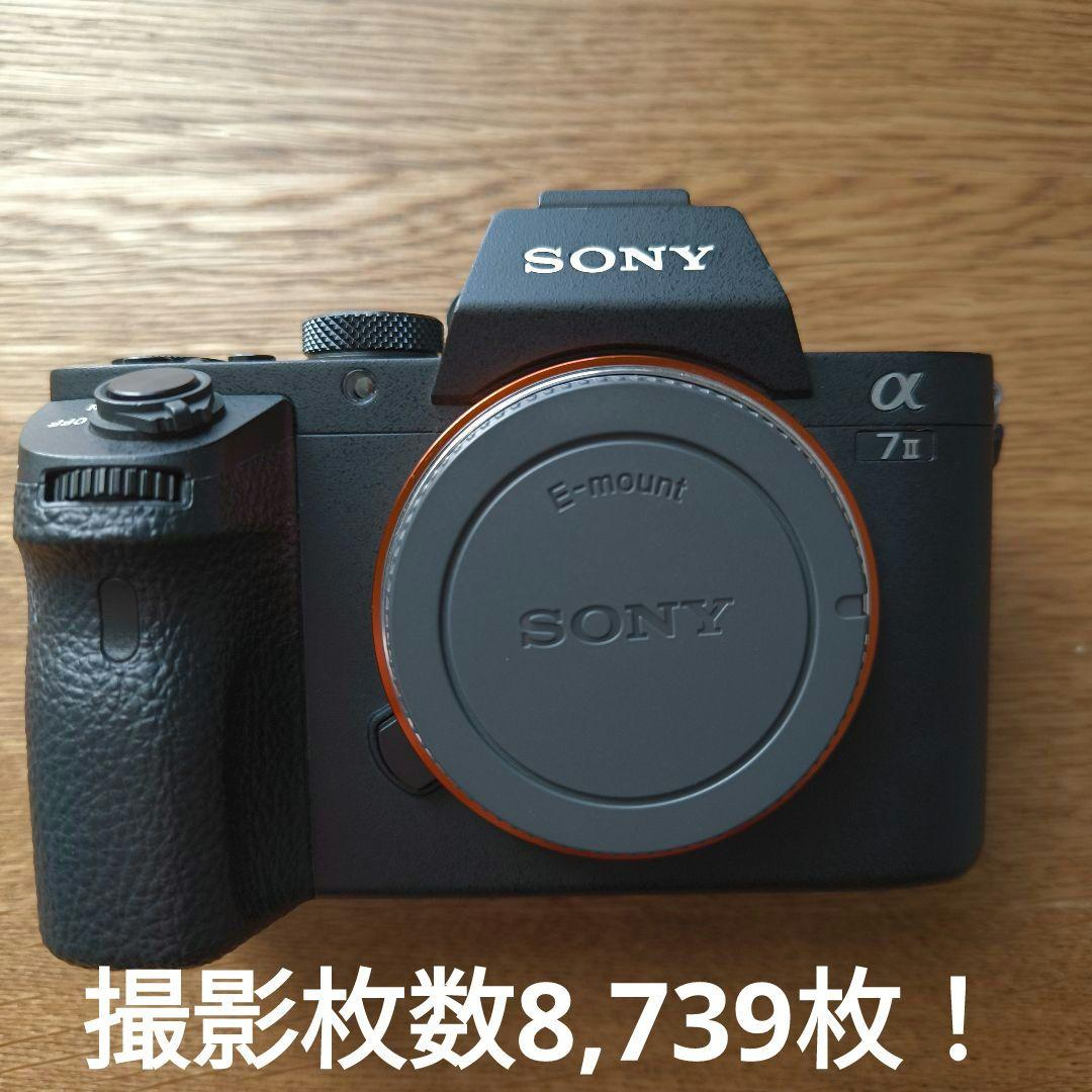 Sony Mirrorless Interchangeable Lips 7 Ii