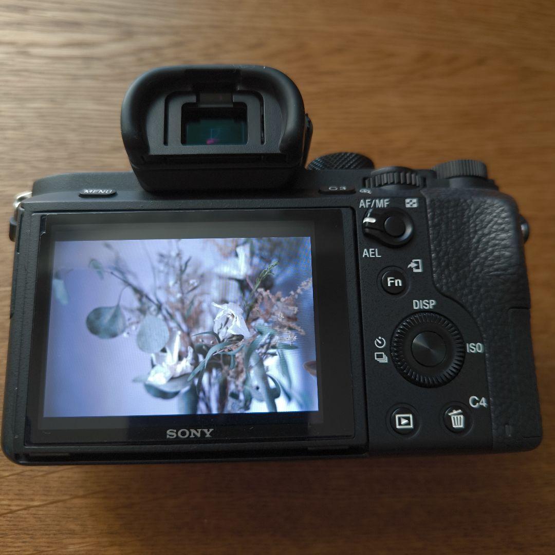 Sony Mirrorless Interchangeable Lips 7 Ii