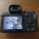 Sony Mirrorless Interchangeable Lips 7 Ii