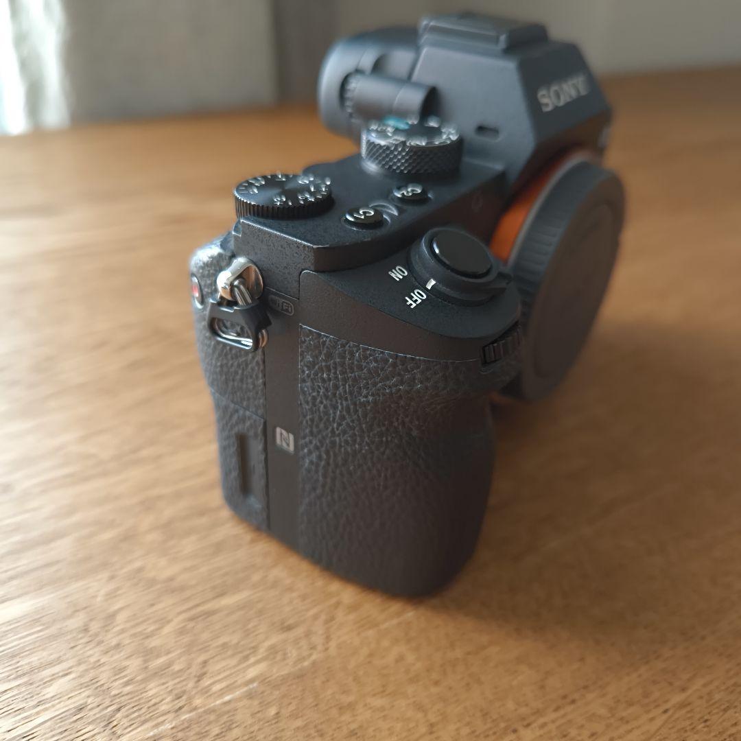 Sony Mirrorless Interchangeable Lips 7 Ii