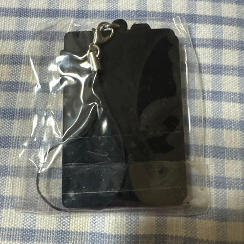 Sony Keychains Acrylic Walkman Fm