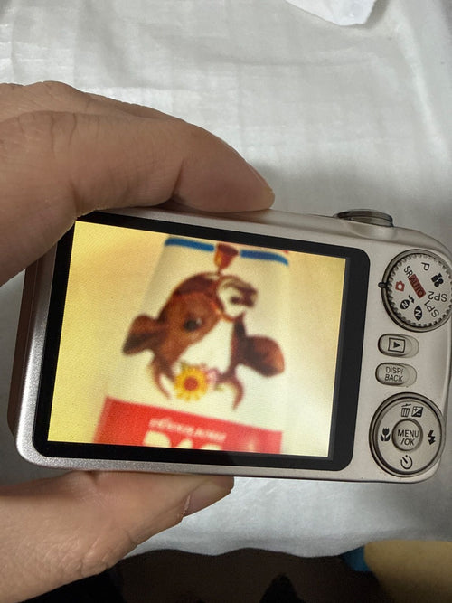 Compact Digital Camera Fujifilm Finepix Jx400