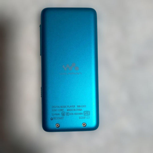 Other Sony Walkman Nw-S313
