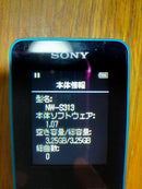 Other Sony Walkman Nw-S313