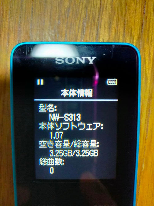 Other Sony Walkman Nw-S313