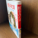 Literature Novel