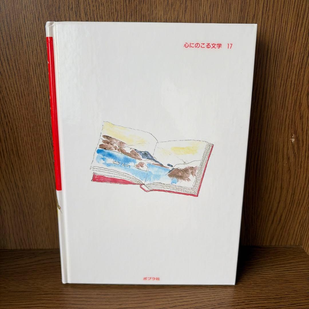Literature Novel