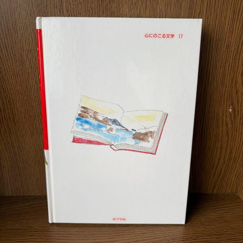Literature Novel