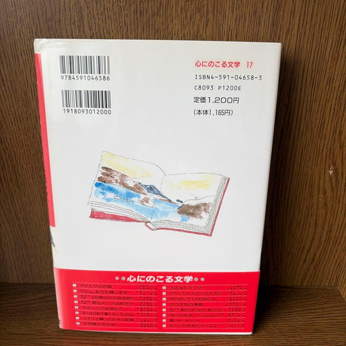 Literature Novel