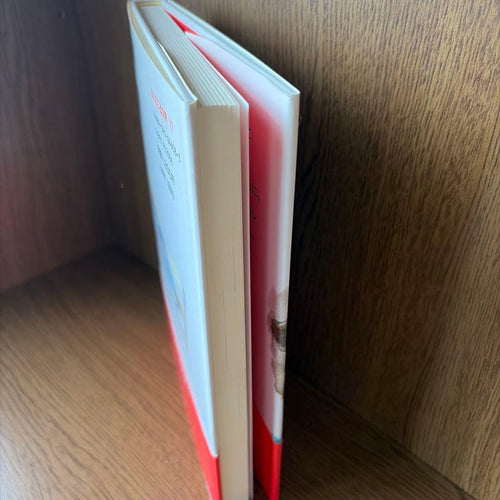 Literature Novel