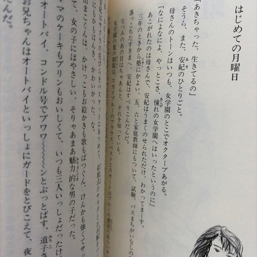 Literature Novel
