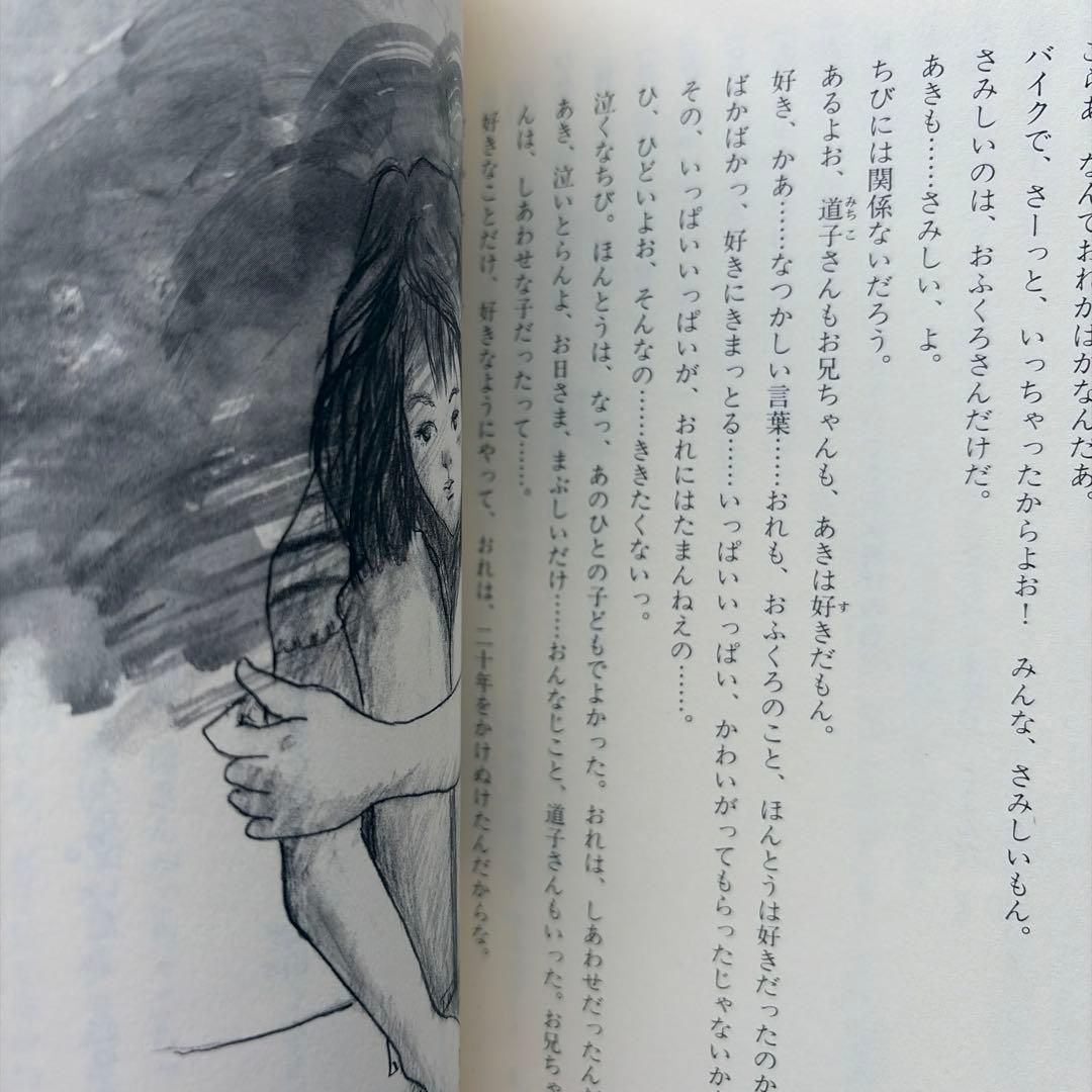 Literature Novel