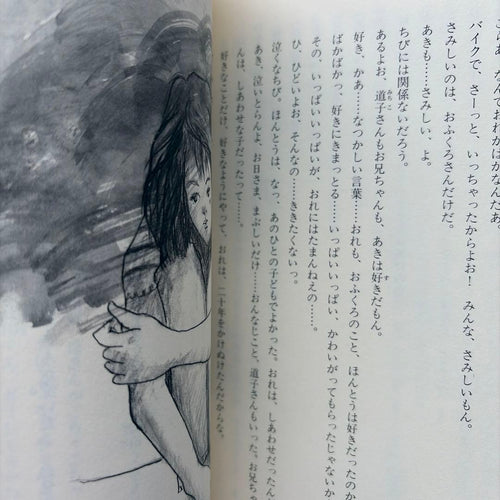 Literature Novel