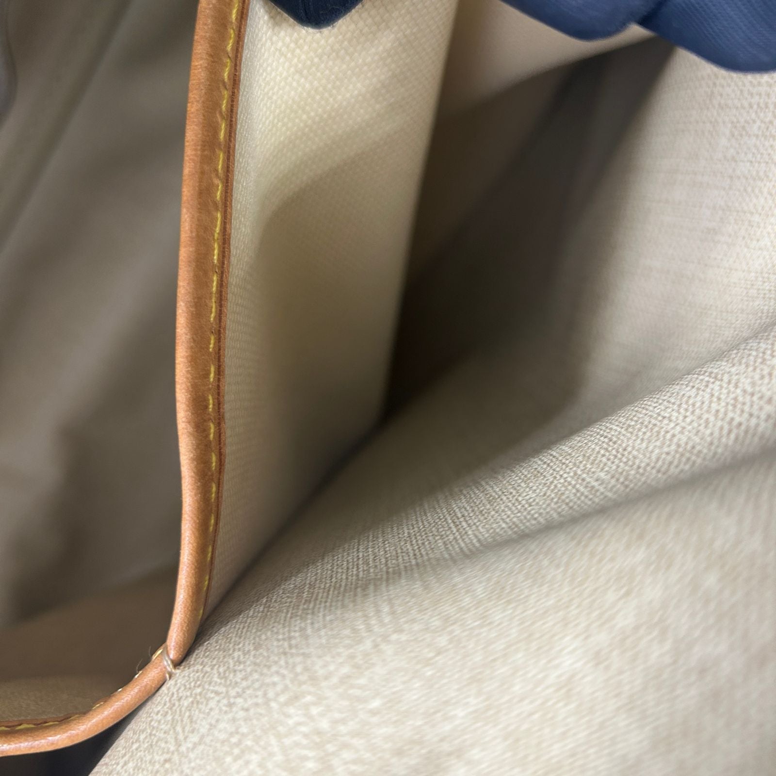 Louis Vuitton Handbag Pvc M47270