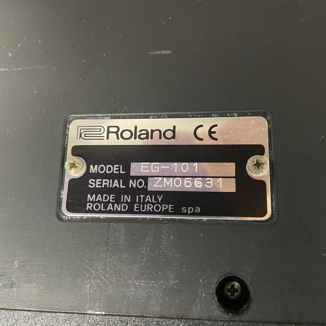 Other Roland Eg-101