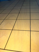 Shogi