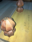Shogi