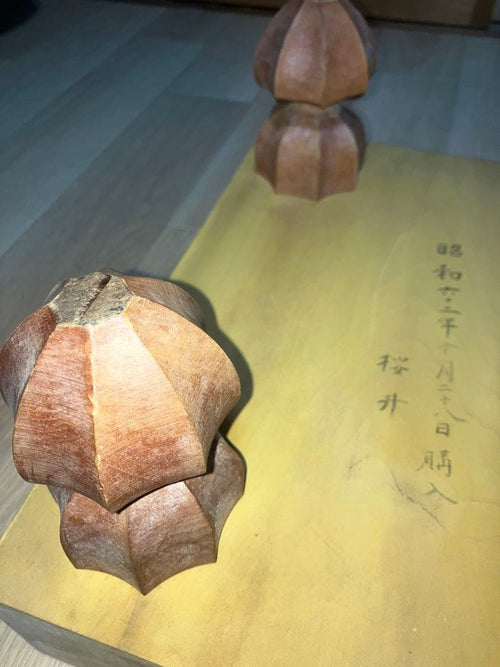 Shogi