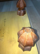 Shogi