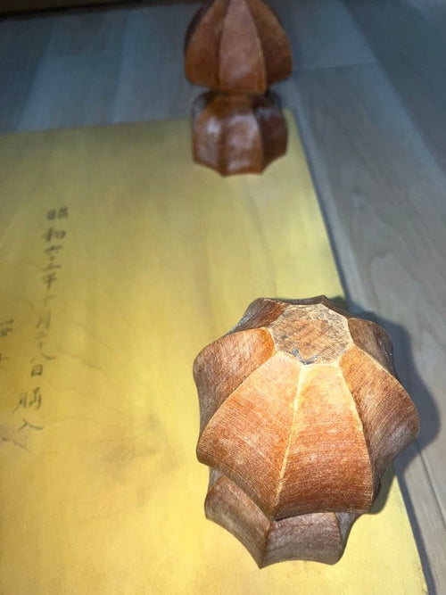 Shogi