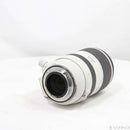 Canon Lens (Zoom) Rf70-200Mm F2.8 L Is Usm 262