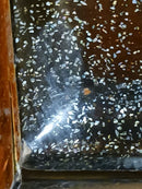 Heavy Box