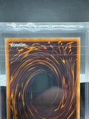 Yu -Gi -Oh! Ocg Duel Monsters Ars10
