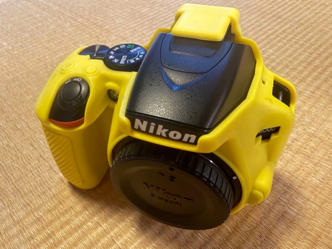 Nikon Digital Slrs D3500