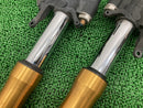 Yamaha Suspension Yzf-R6 2C0 Rn11 06-07 Genuine Tg