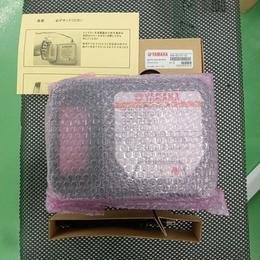 Yamaha Motor Rechargeable Batteries Chargers