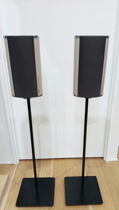 Speaker Onkyo D-L500M
