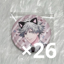 Pins, Pin Badges, Can Bgs 2025 26