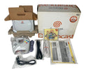 Body