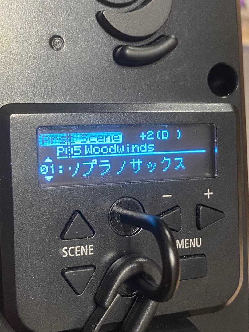 Roland Others Ae-20