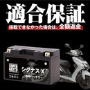 Others X (2007 Yamaha 100