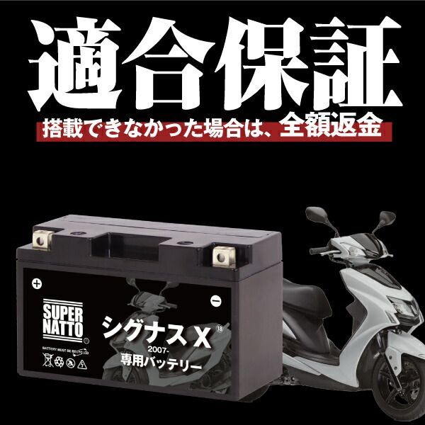 Others X (2007 Yamaha 100