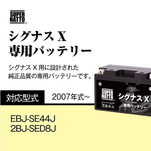 Others X (2007 Yamaha 100