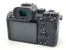Mirrorless Interchangeable Lips 7S Iii [Ilce-7Sm3]
