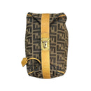 Fendi Handbag Zucca Pattern Vanity Bag Old