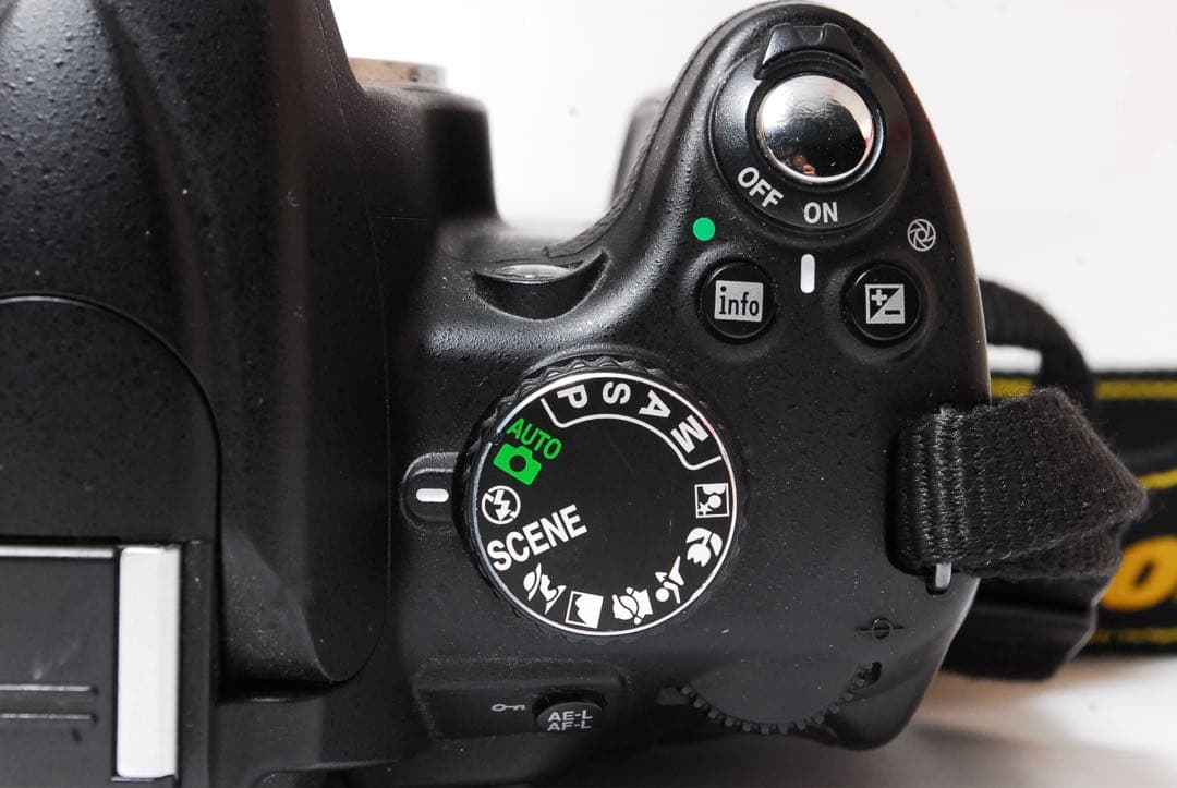 Digital Slr Nikon D5000