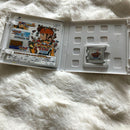 Software (Package Version) 3Ds 1 2