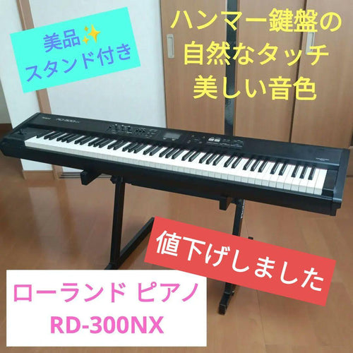Roland Keyboards Digital Pianos Rd-300Nx