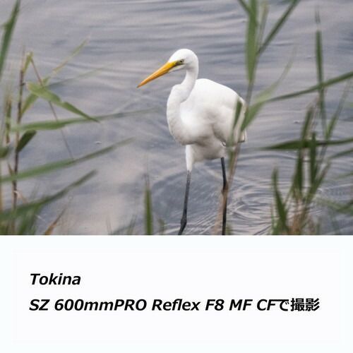 Others 8/13-17 3 (Kt) Sz Pro Reflex F8 Mf Cf X Kenko Tokina Fuji