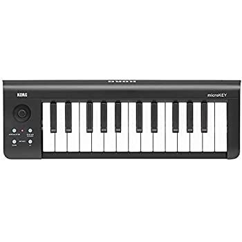 Midi Keyboard Pad Korg Usb Microkey-25 Dtm 25