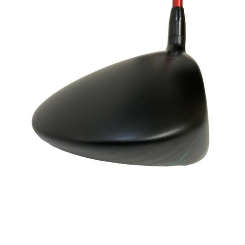 Driver Rs X F(2024) 10 Dr B
